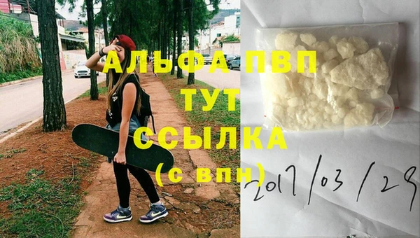 СК Аркадак