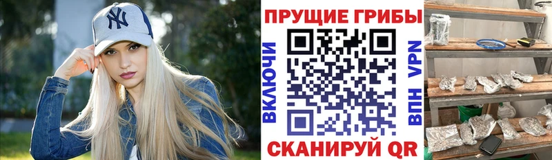Псилоцибиновые грибы Magic Shrooms  Хотьково 